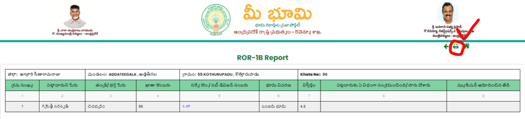 print and download 1b record